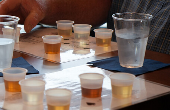 Portfolio Tasting
